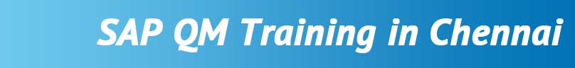 SAP QM Training in Chennai SAP QM Training in Chennai