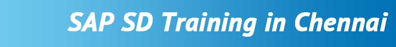SAP SD Training in Chennai SAP SD Training in Chennai