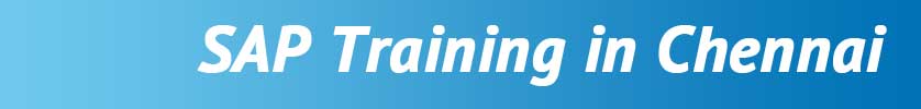 SAP Training in Velachery, Chennai